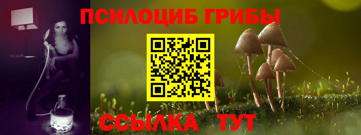 Псилоцибиновые грибы ЛСД Урюпинск